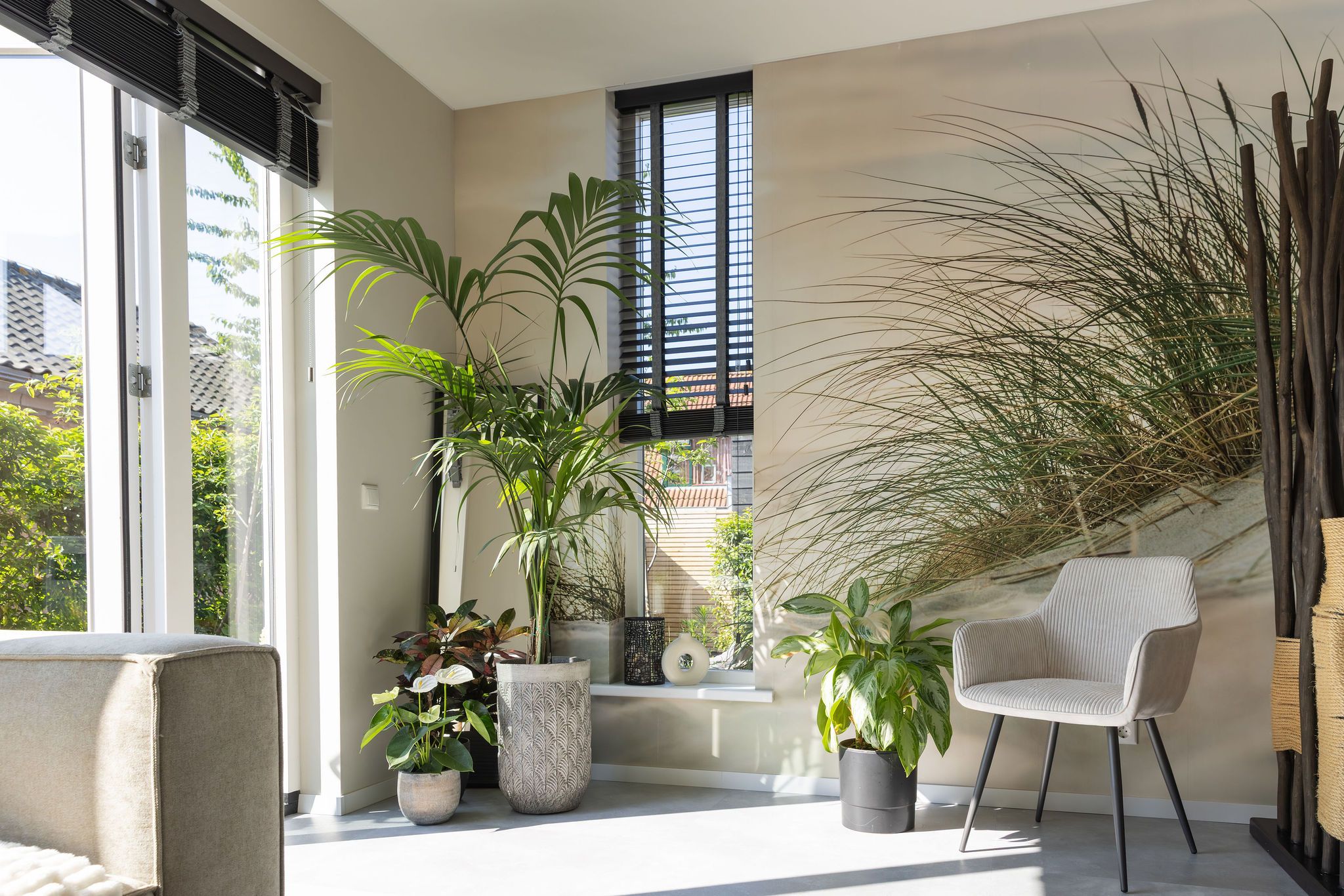 Foto 3 van Molendijk 6