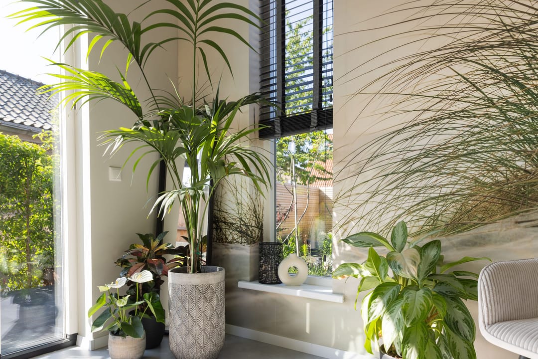 Foto 17 van Molendijk 6