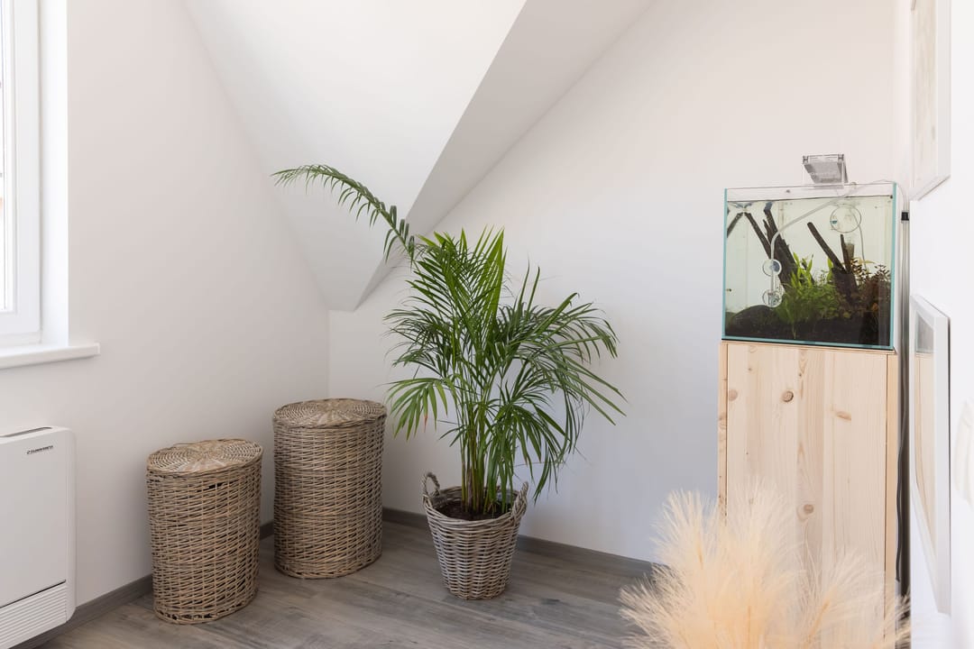 Foto 26 van Molendijk 6