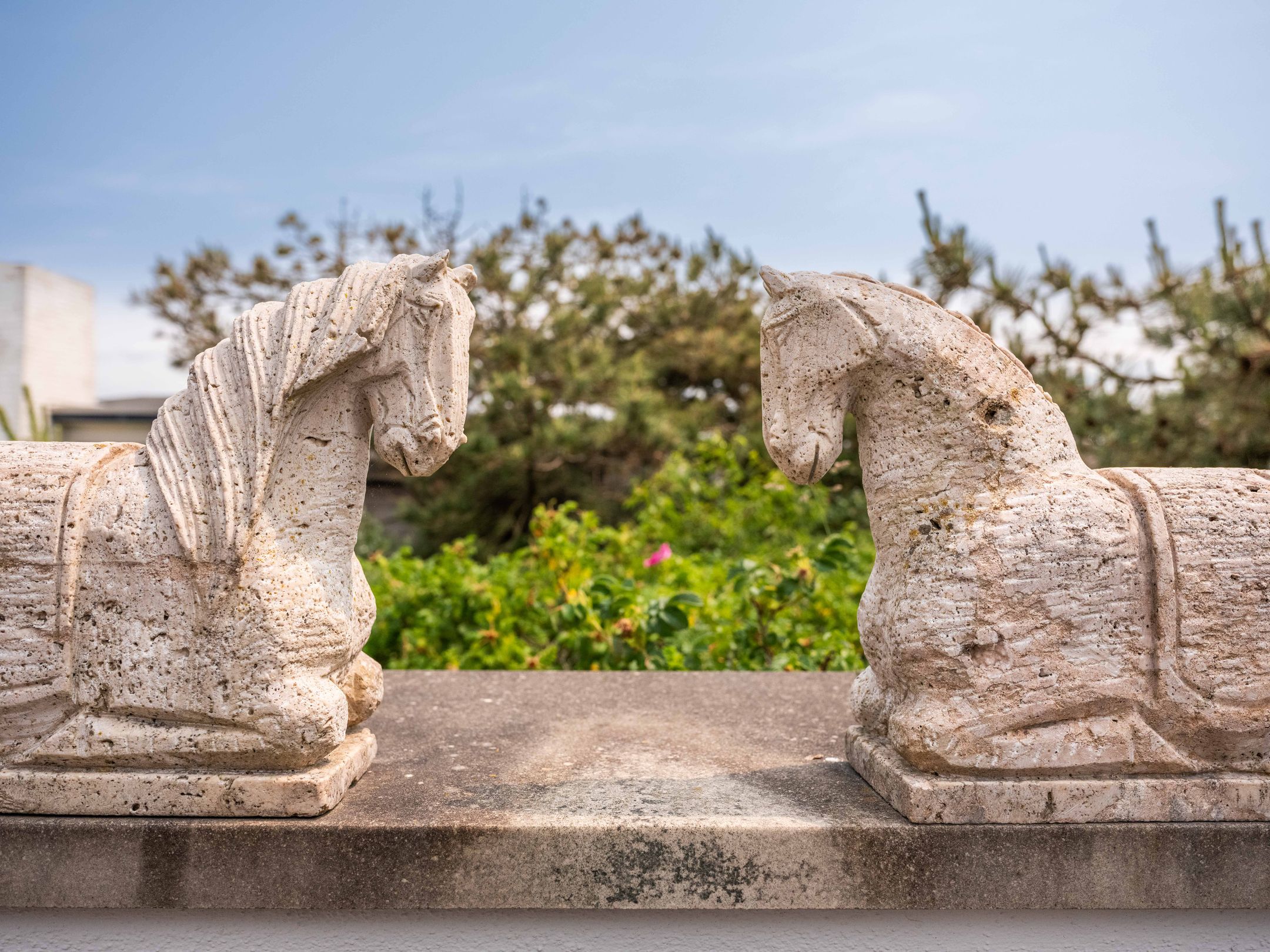 Foto 54 van Patijnweg 5