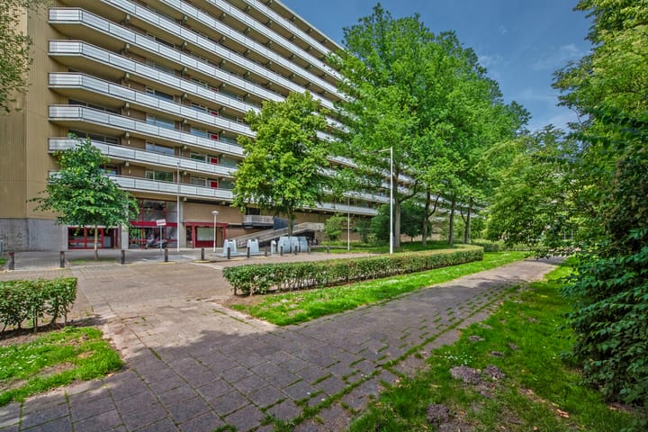 Foto 1 van Dunantstraat 913