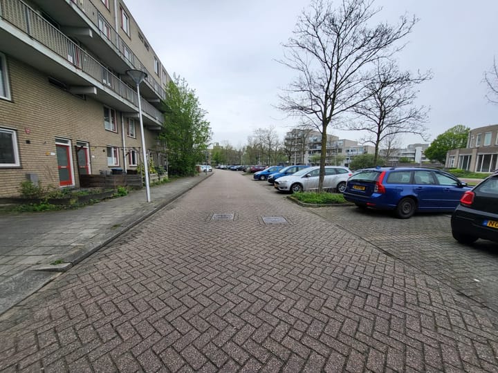 Foto 6 van Fivelingo 119