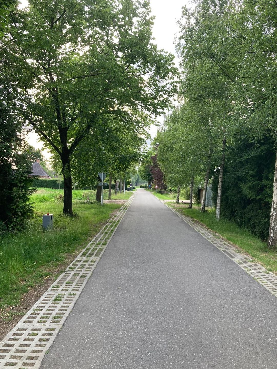 Photo 2 of Molenkampseweg 12