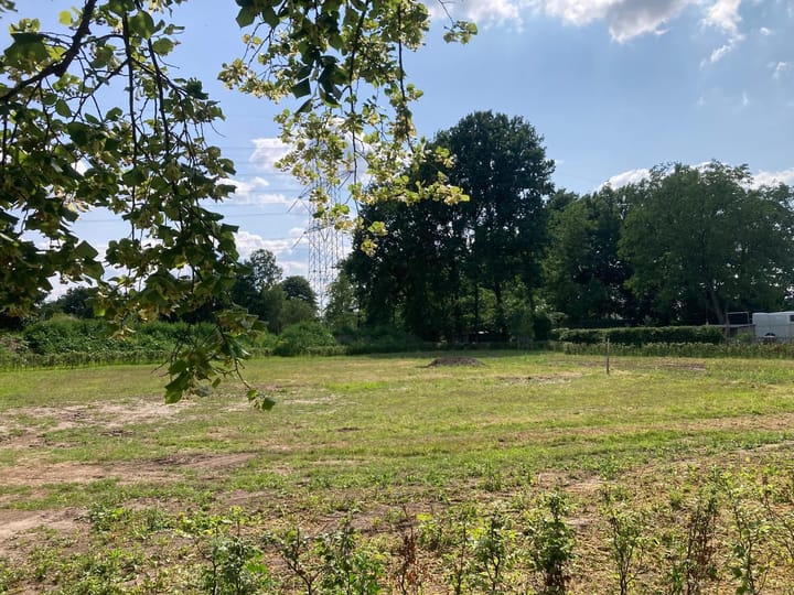 Foto 6 van Molenkampseweg 12