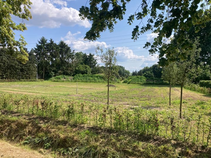 Foto 9 van Molenkampseweg 12