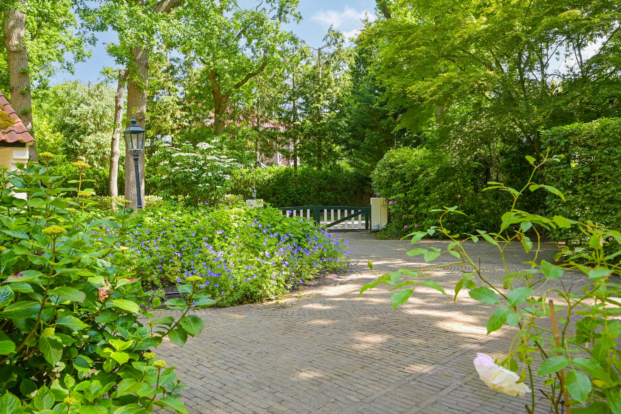 Photo 36 of Lijsterlaan 1