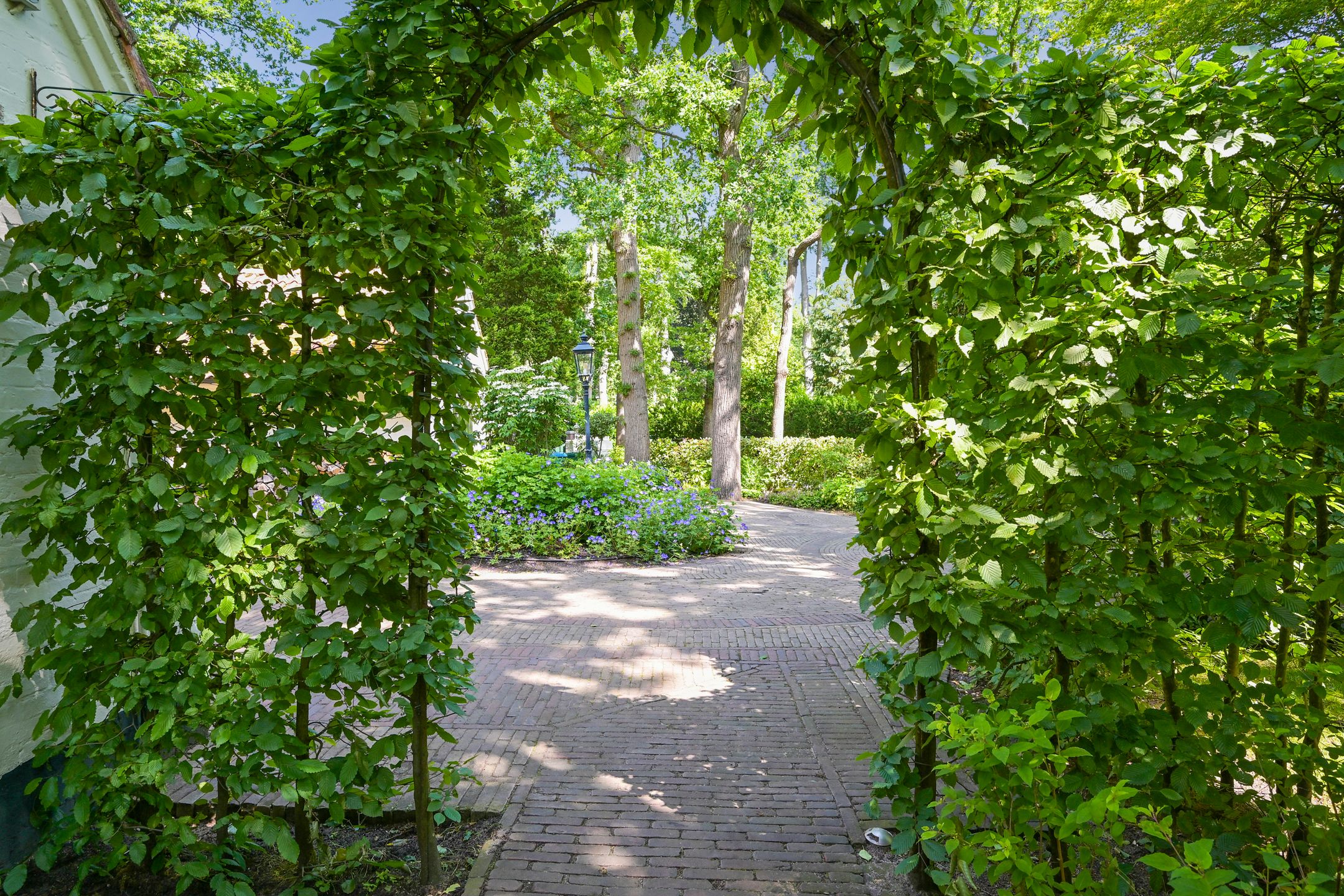 Photo 39 of Lijsterlaan 1