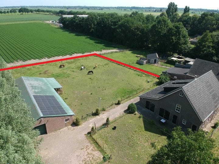 Foto 7 van Berghemseweg 16