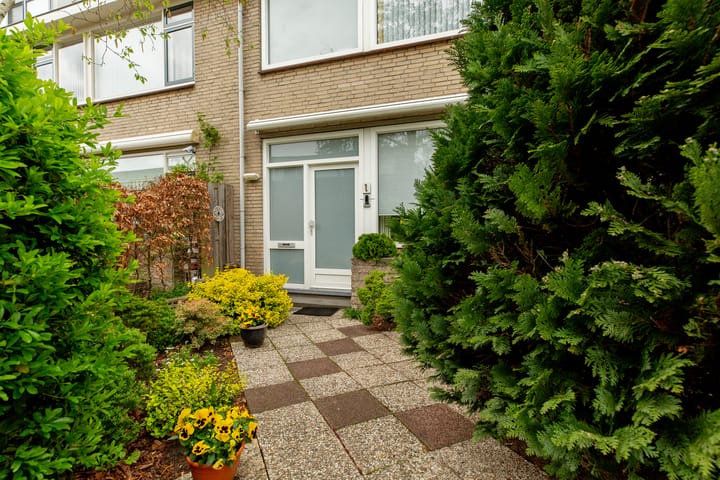 Foto 5 van Sterremos 1