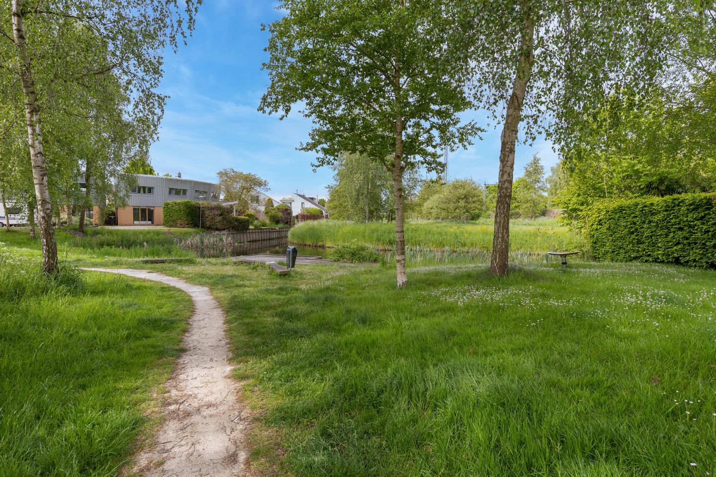 Foto 1 van Cees Buddingh'hof 159