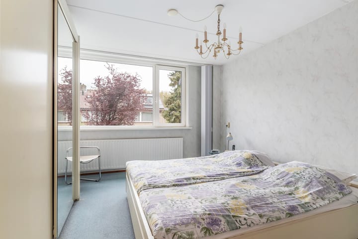 Foto 19 van Sterremos 1