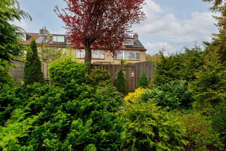 Foto 34 van Sterremos 1