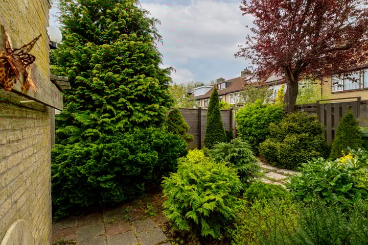 Foto 35 van Sterremos 1