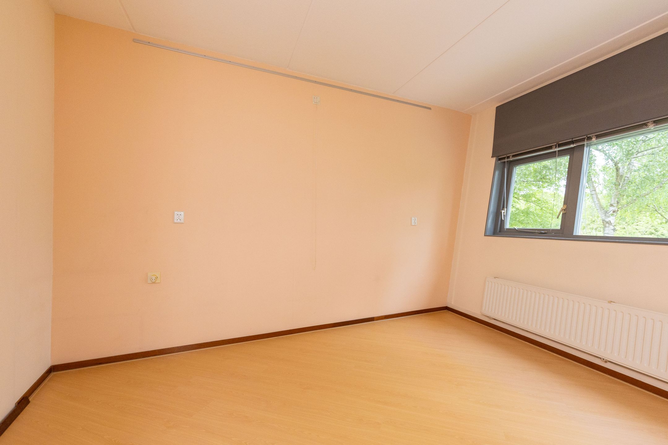 Foto 30 van Cees Buddingh'hof 159