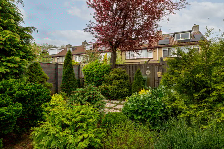 Foto 36 van Sterremos 1