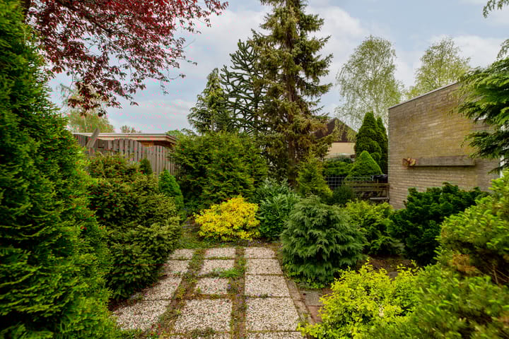 Foto 38 van Sterremos 1