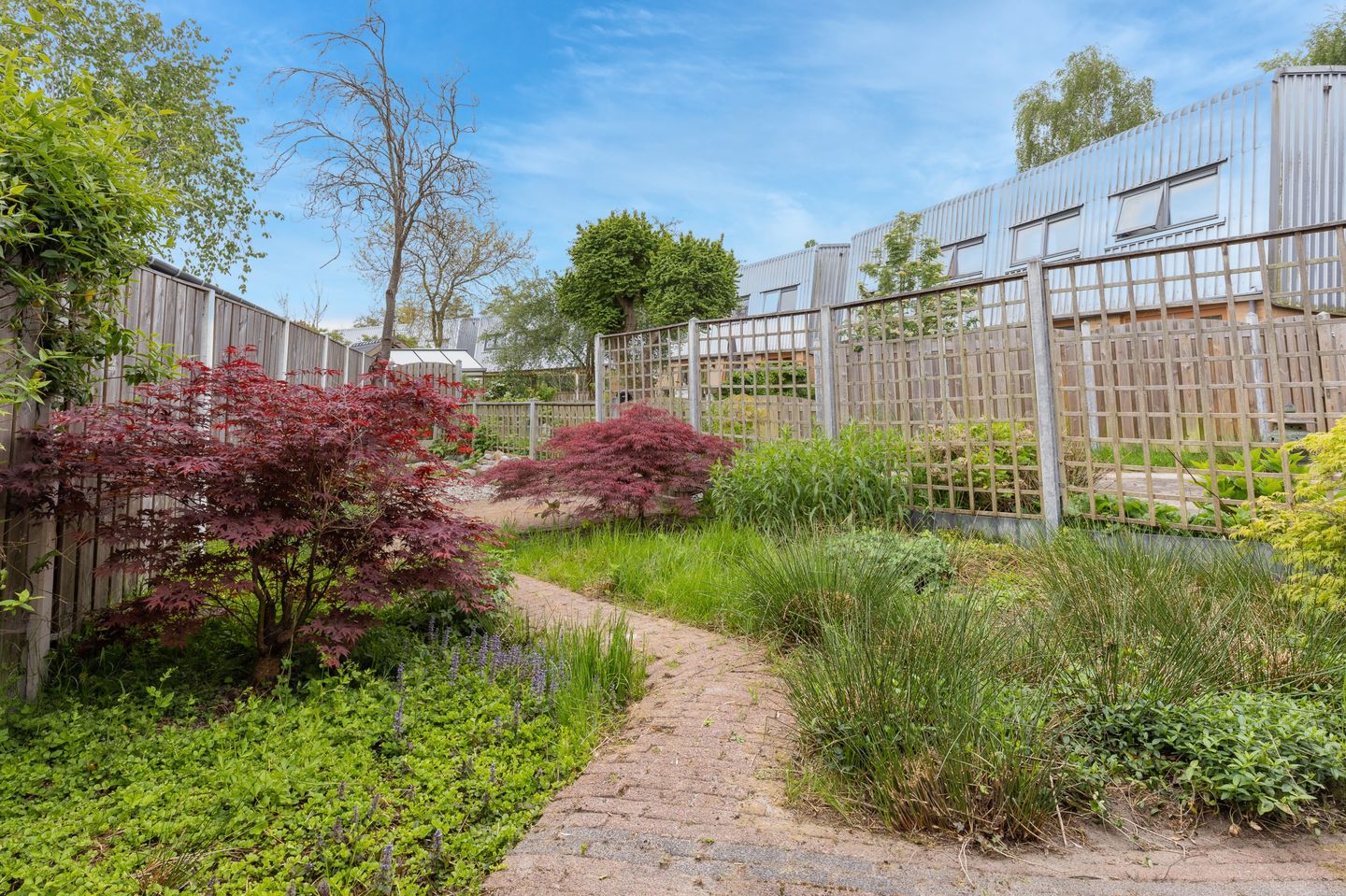 Foto 34 van Cees Buddingh'hof 159