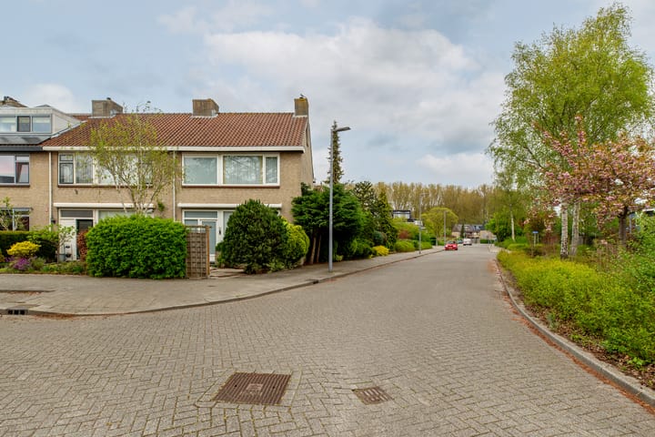 Foto 40 van Sterremos 1