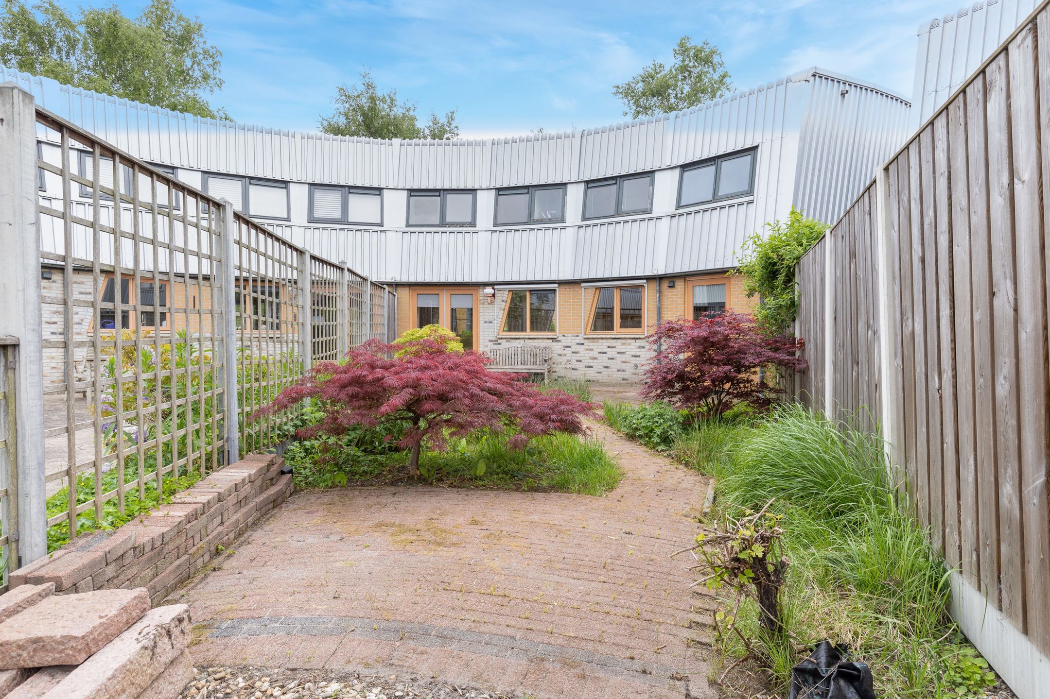 Foto 36 van Cees Buddingh'hof 159