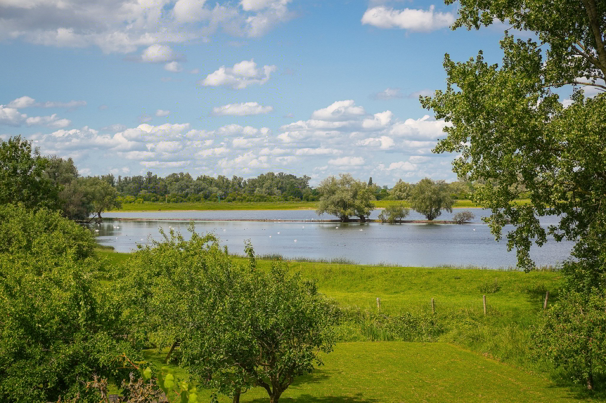 Photo 36 of Rijnbandijk 26