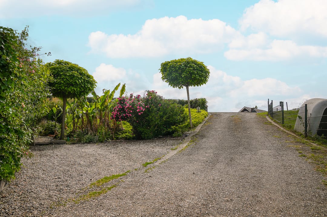 Photo 46 of Rijnbandijk 26