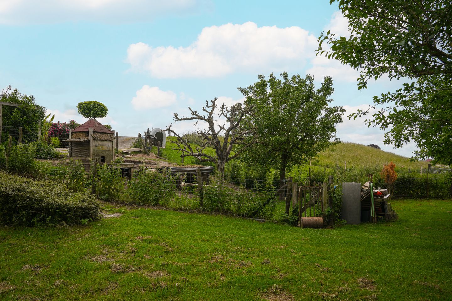 Photo 49 of Rijnbandijk 26