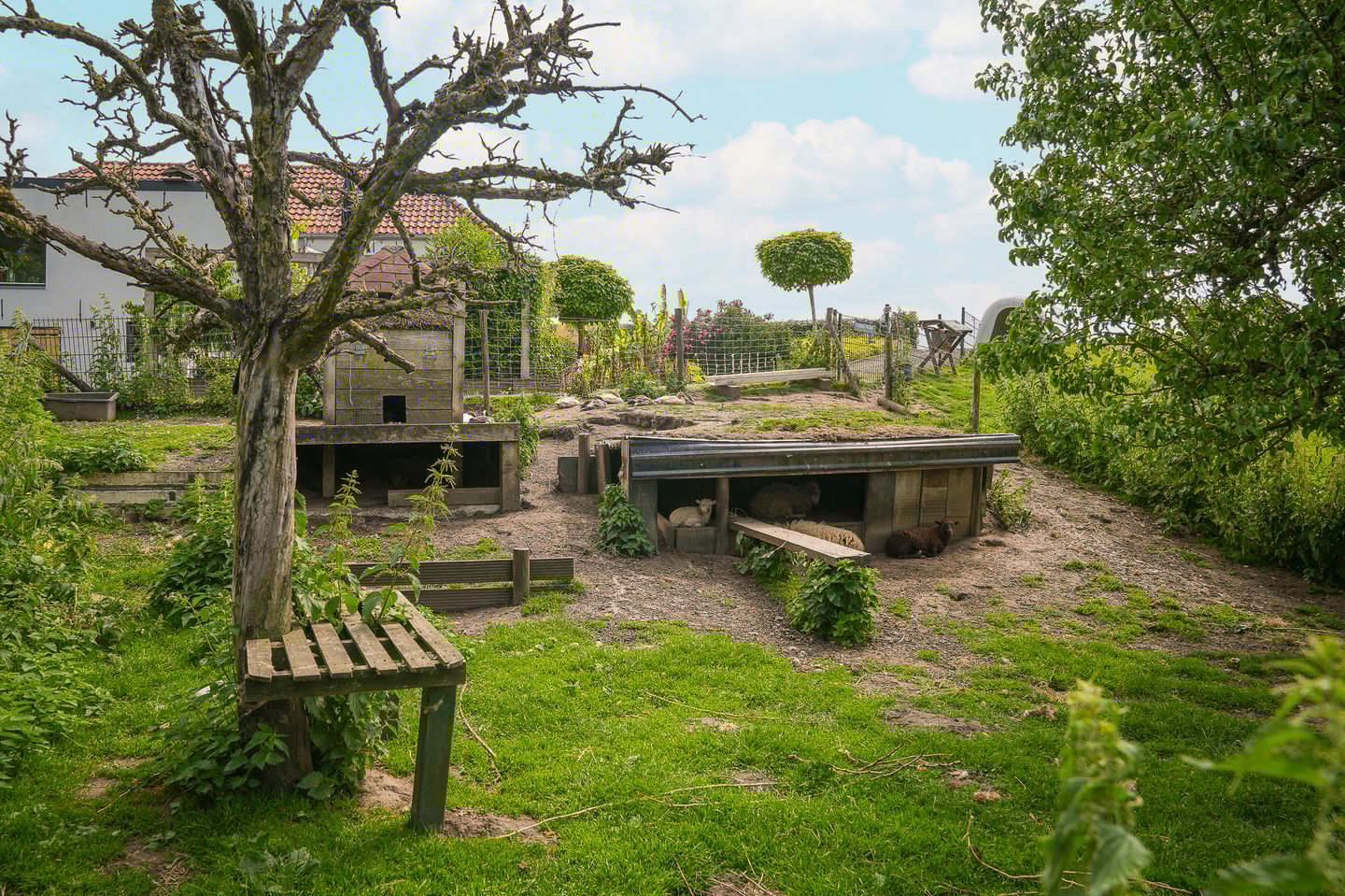 Photo 50 of Rijnbandijk 26