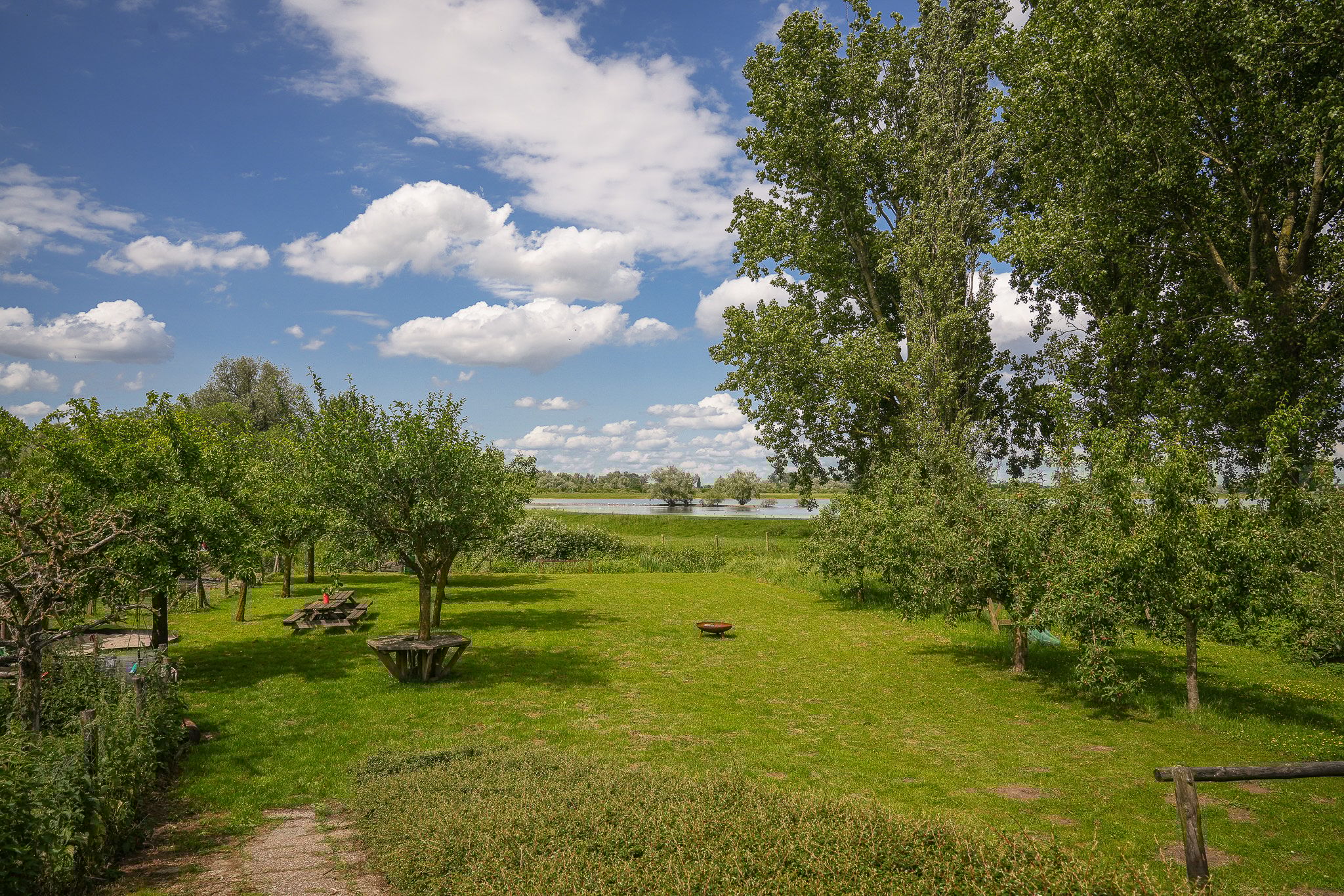 Photo 51 of Rijnbandijk 26