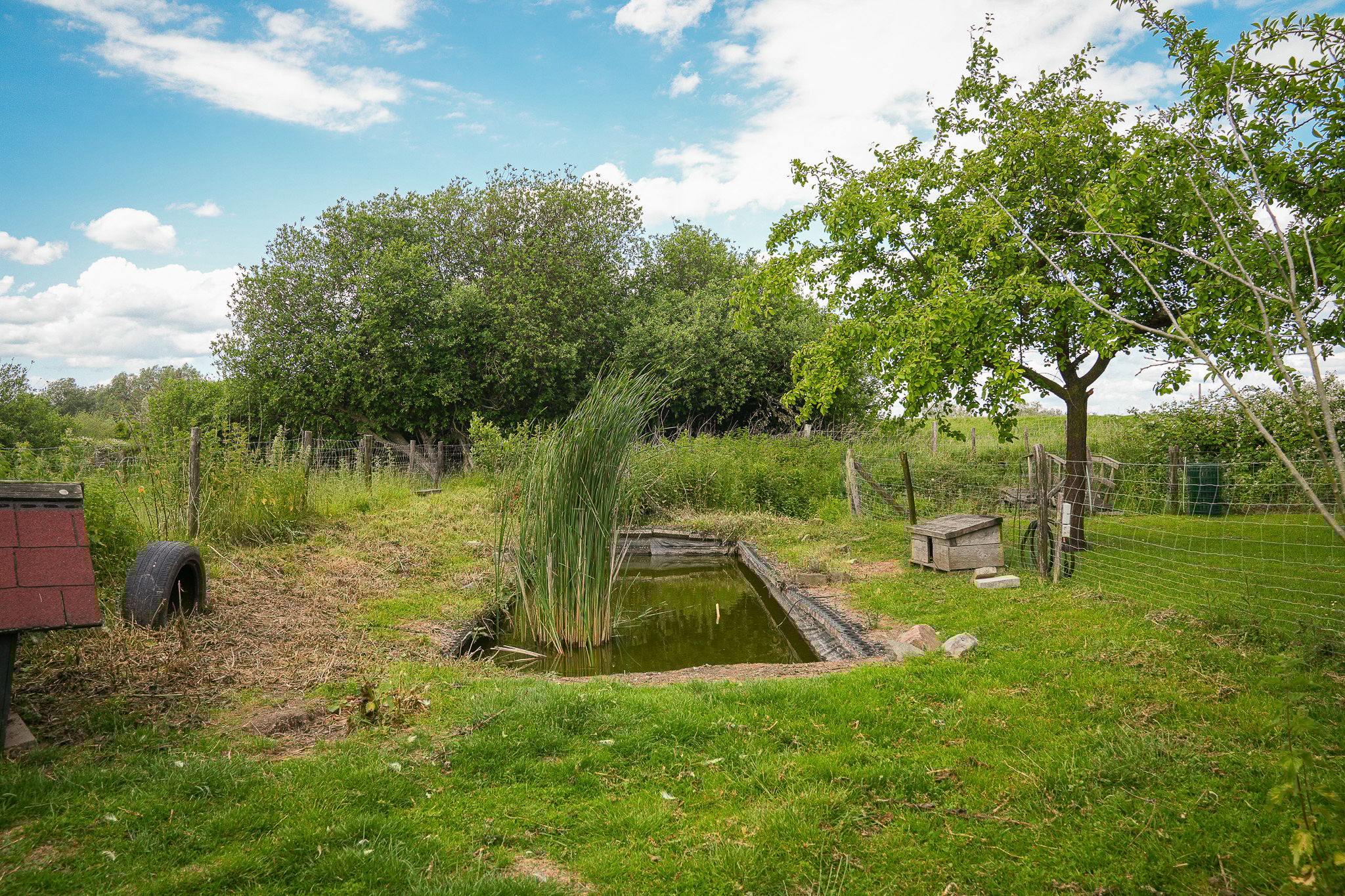 Photo 54 of Rijnbandijk 26