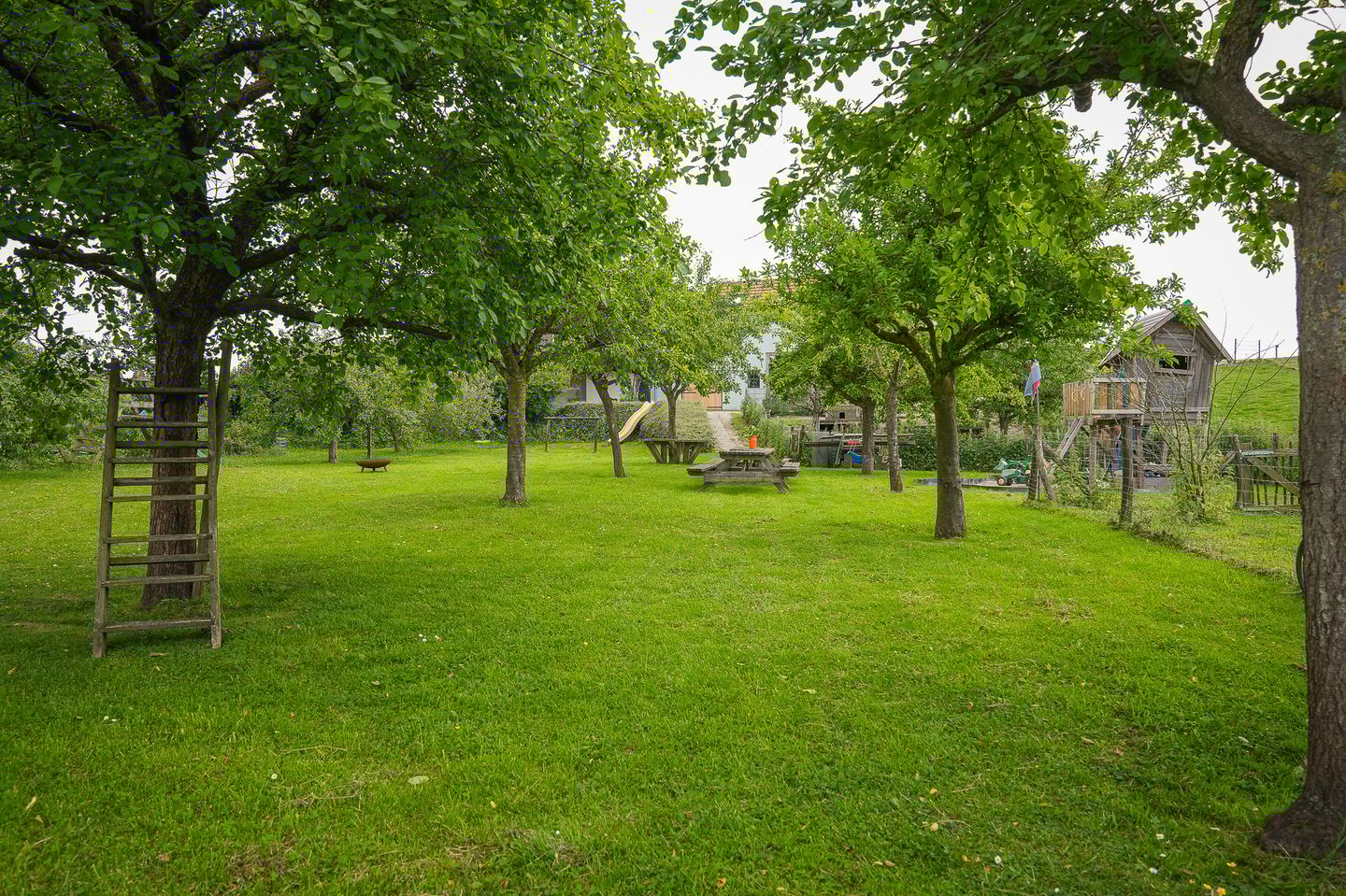 Photo 55 of Rijnbandijk 26