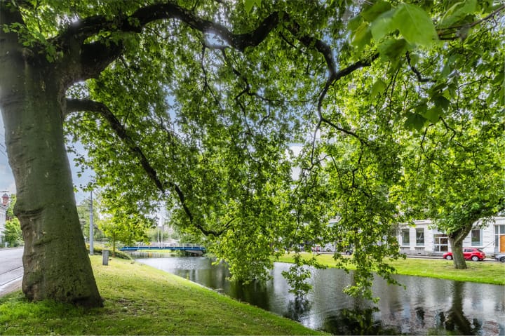 Foto 26 van Noordsingel 153-A