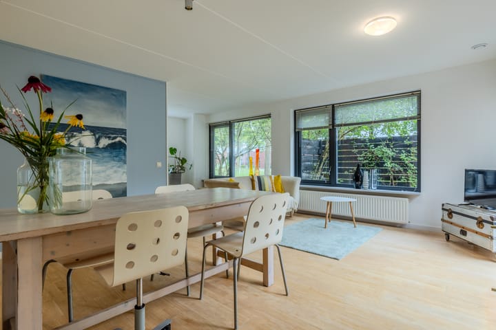 Foto 4 van Atlasvlinder 64