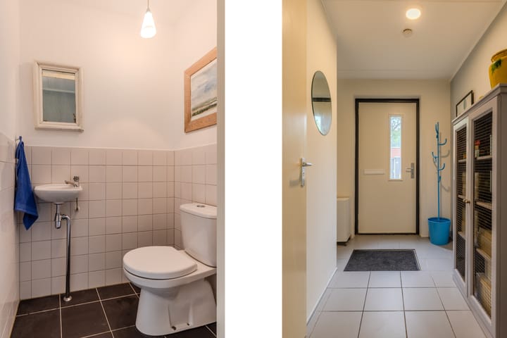 Foto 6 van Atlasvlinder 64