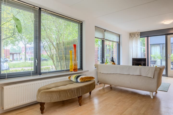 Foto 8 van Atlasvlinder 64