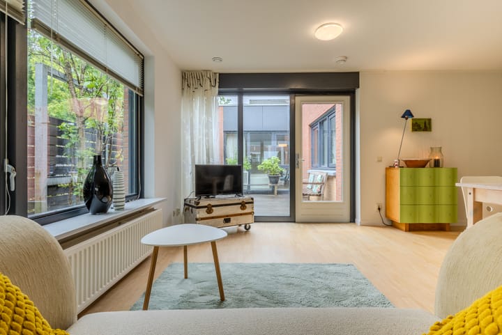 Foto 9 van Atlasvlinder 64