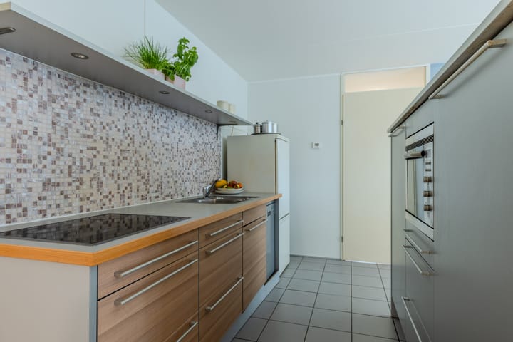 Foto 14 van Atlasvlinder 64