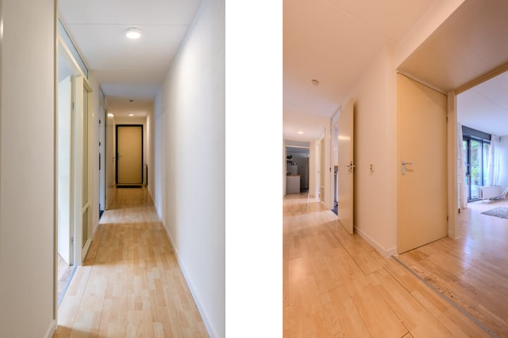 Foto 16 van Atlasvlinder 64