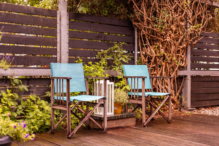 Foto 23 van Atlasvlinder 64