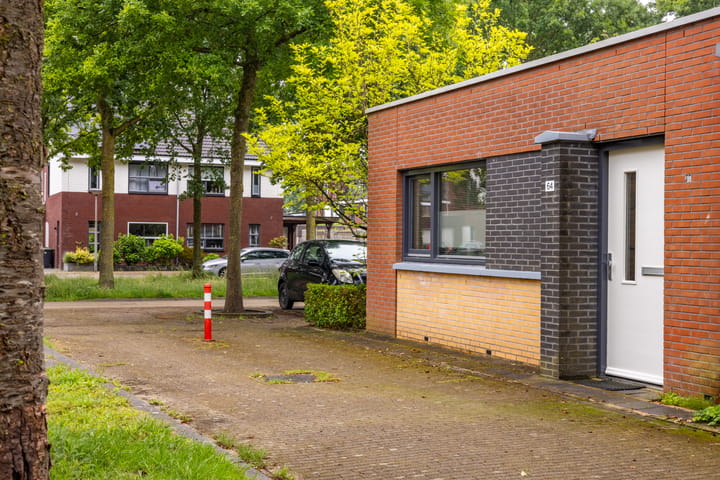 Foto 24 van Atlasvlinder 64