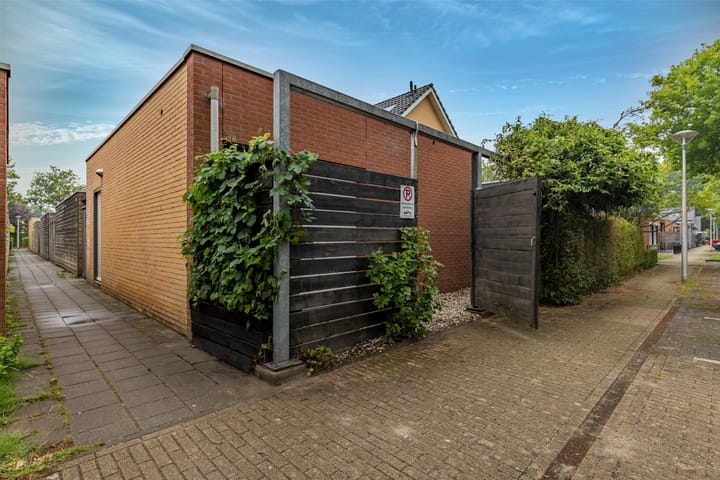 Foto 25 van Atlasvlinder 64