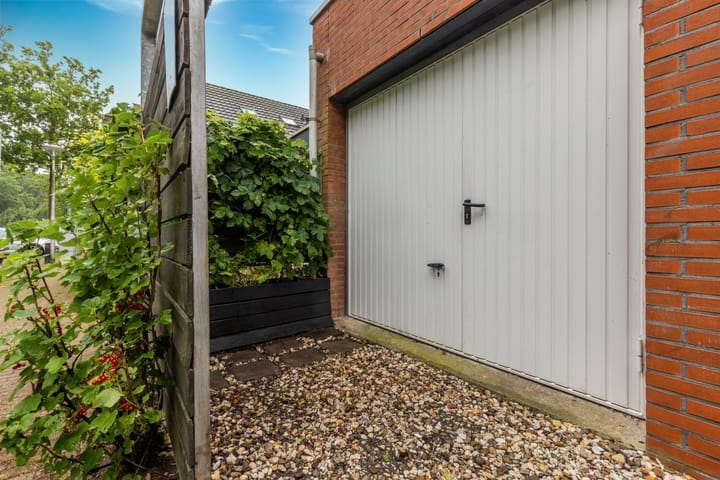 Foto 26 van Atlasvlinder 64