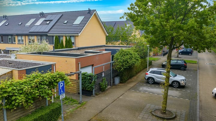 Foto 27 van Atlasvlinder 64