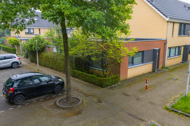 Foto 28 van Atlasvlinder 64