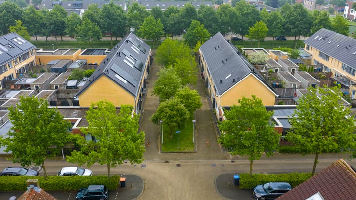 Foto 30 van Atlasvlinder 64