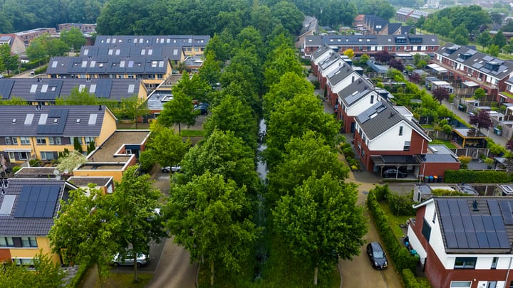 Foto 32 van Atlasvlinder 64