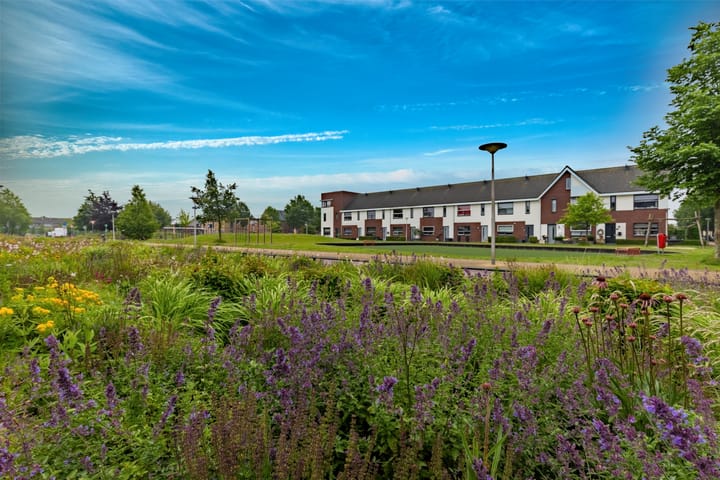 Foto 33 van Atlasvlinder 64