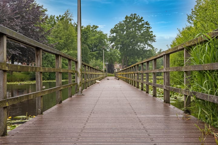 Foto 34 van Atlasvlinder 64