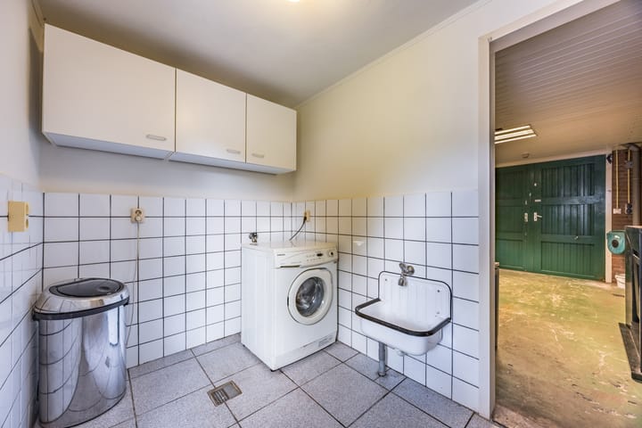 Foto 18 van Hoefblad 105