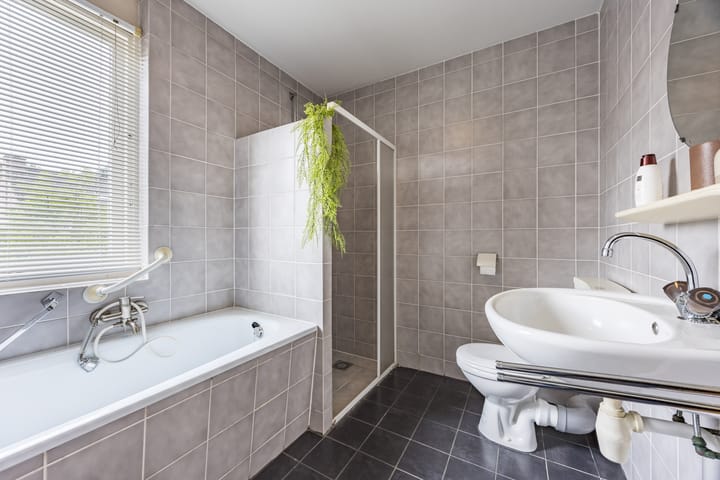 Foto 26 van Hoefblad 105