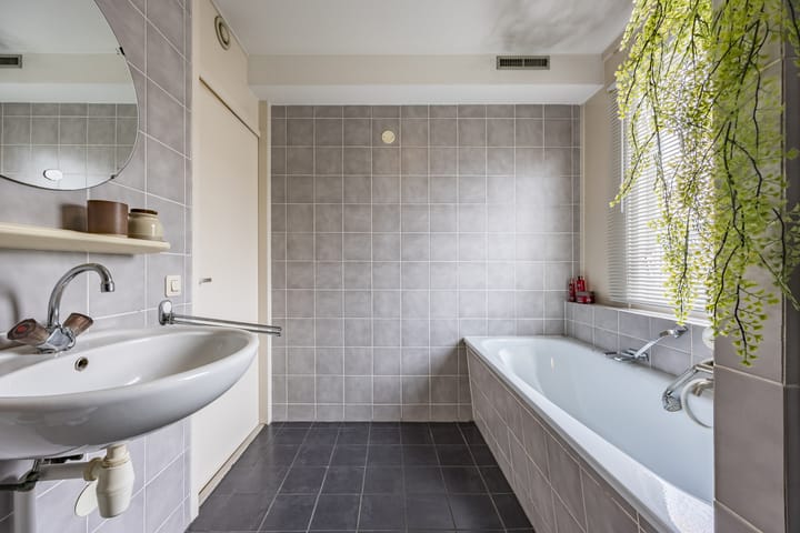 Foto 27 van Hoefblad 105